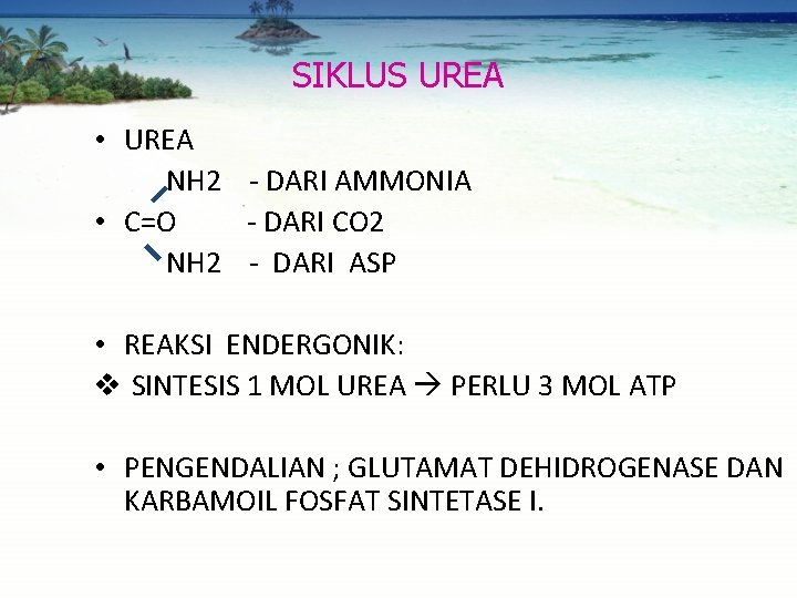 SIKLUS UREA • UREA NH 2 - DARI AMMONIA • C=O - DARI CO