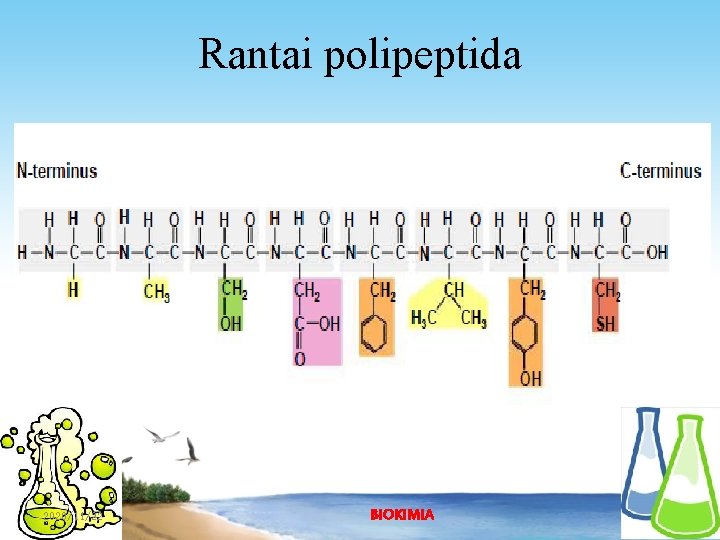 Rantai polipeptida 2020/11/22 BIOKIMIA 