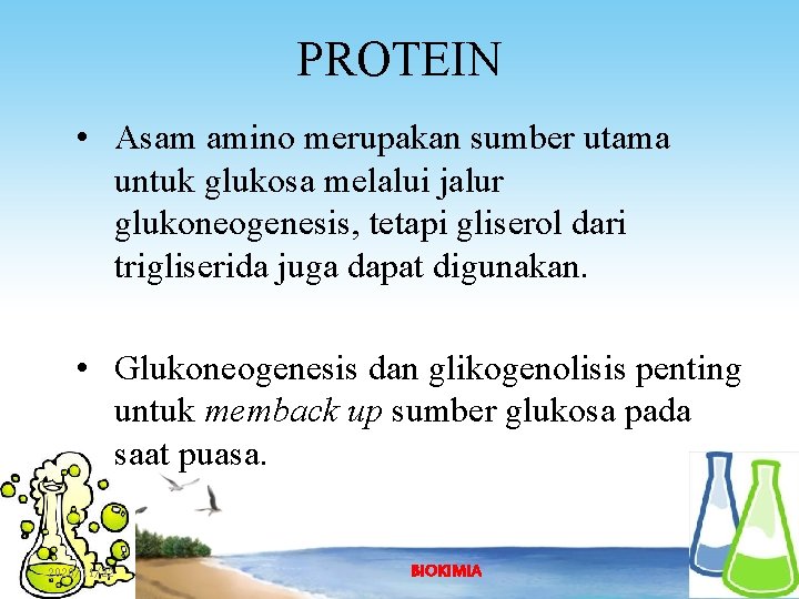PROTEIN • Asam amino merupakan sumber utama untuk glukosa melalui jalur glukoneogenesis, tetapi gliserol