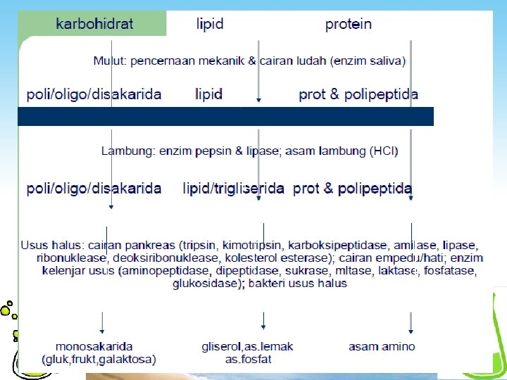 2020/11/22 BIOKIMIA 