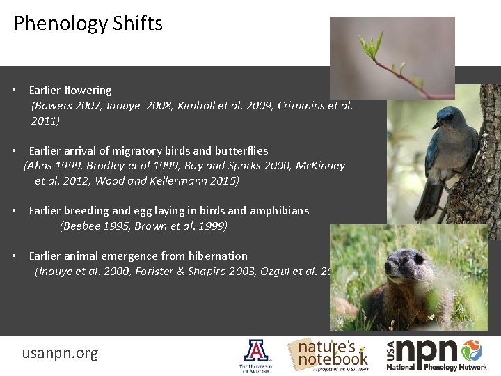 Phenology Shifts • Earlier leaf-out of trees (Menzel 1999, 2000, 2001, Carter et al