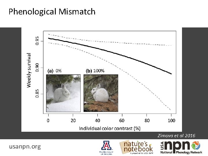 Phenological Mismatch Zimova et al 2016 usanpn. org 