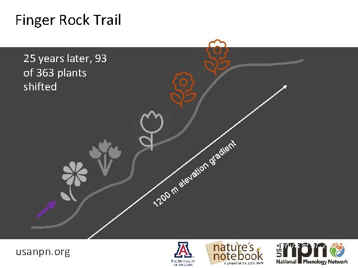 Finger Rock Trail 25 years later, 93 of 363 plants shifted t n die