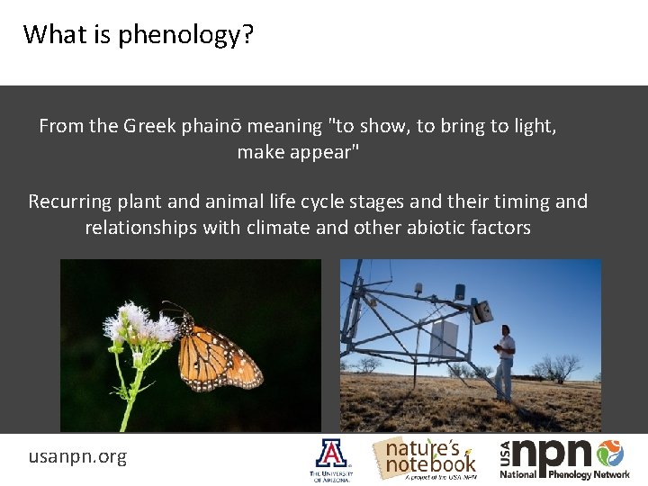 What is phenology? From the Greek phainō meaning "to show, to bring to light,