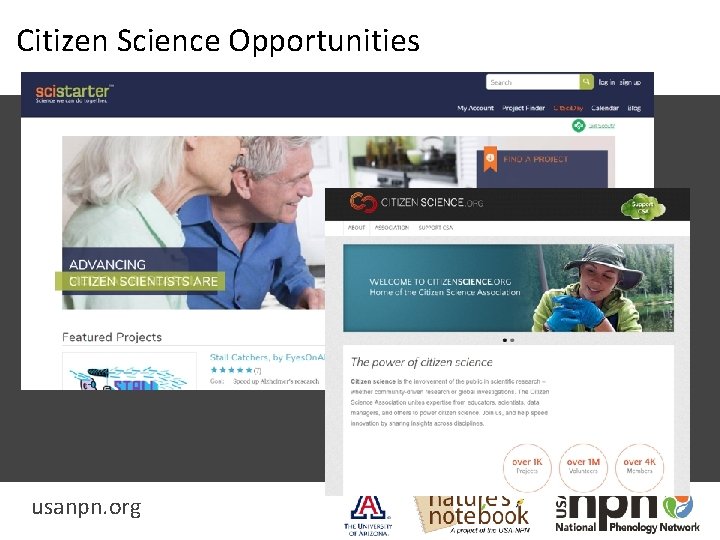 Citizen Science Opportunities usanpn. org 