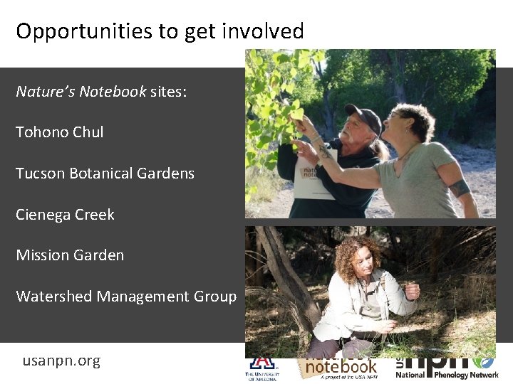 Opportunities to get involved Nature’s Notebook sites: Tohono Chul Tucson Botanical Gardens Cienega Creek