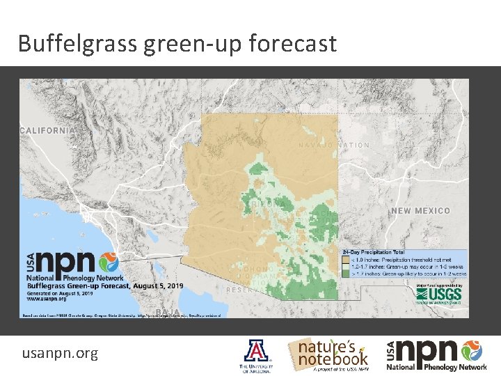 Buffelgrass green-up forecast usanpn. org 