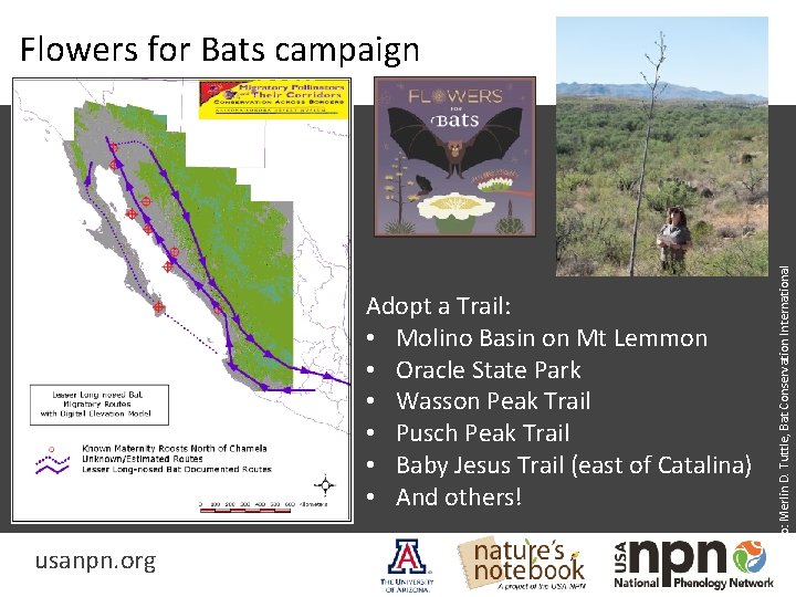 Adopt a Trail: • Molino Basin on Mt Lemmon • Oracle State Park •