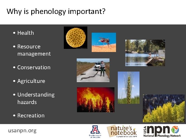 Why is phenology important? • Health • Resource management • Conservation • Agriculture •