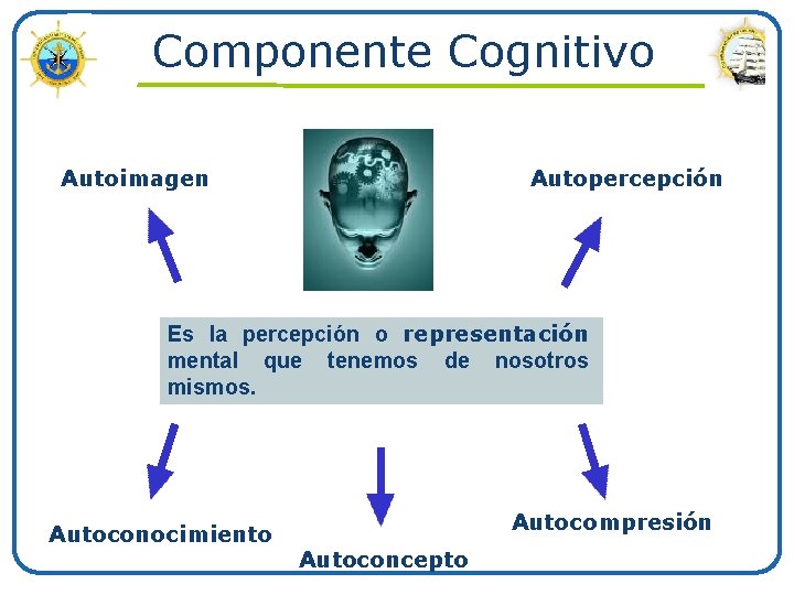 Componente Cognitivo Autoimagen Autopercepción Es la percepción o representación mental que tenemos de nosotros