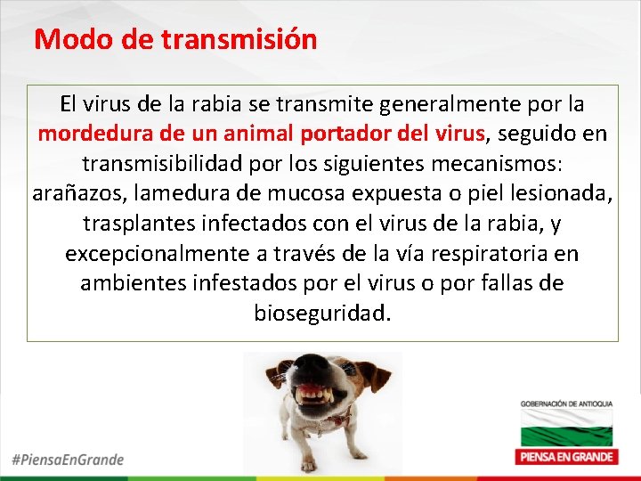 Modo de transmisión El virus de la rabia se transmite generalmente por la mordedura