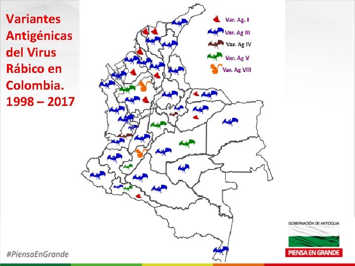 Variantes Antigénicas del Virus Rábico en Colombia. 1998 – 2017 