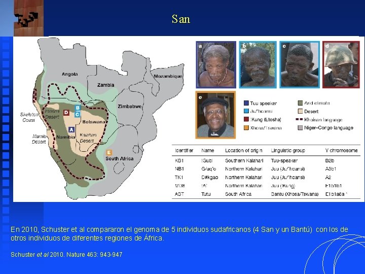 San En 2010, Schuster et al compararon el genoma de 5 individuos sudafricanos (4