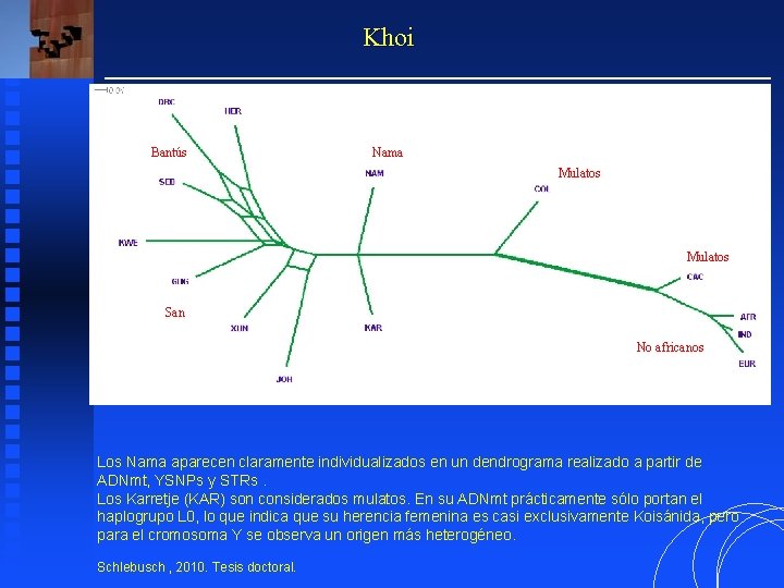 Khoi Bantús Nama Mulatos San No africanos Los Nama aparecen claramente individualizados en un