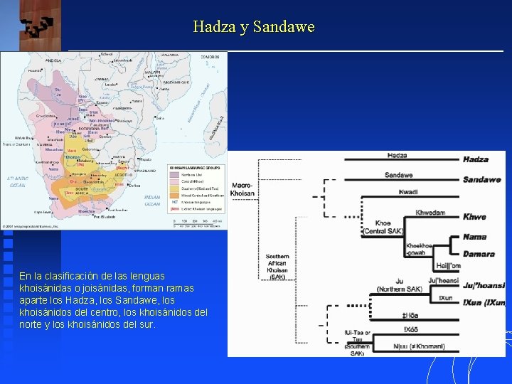 Hadza y Sandawe En la clasificación de las lenguas khoisánidas o joisánidas, forman ramas