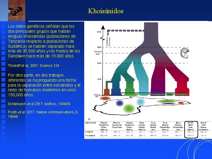 Khoisánidos Los datos genéticos señalan que los dos principales grupos que hablan lenguas khoisánidas