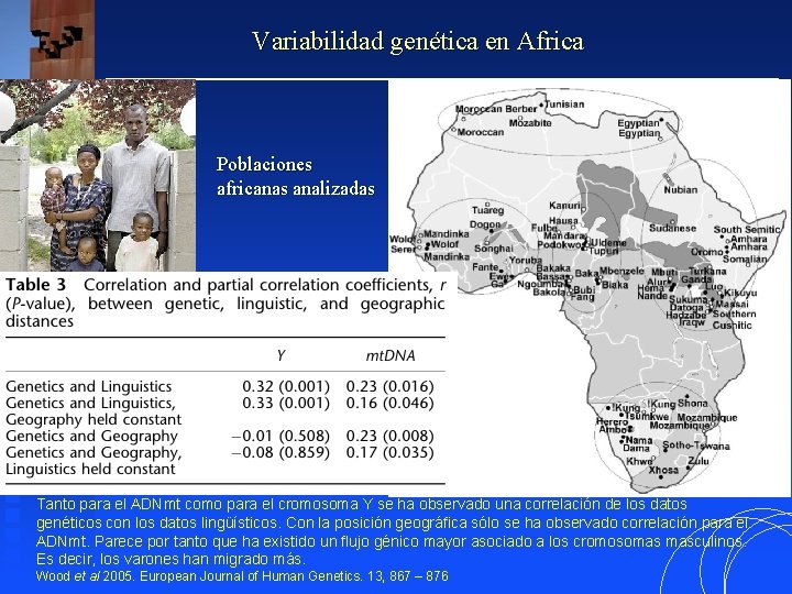 Variabilidad genética en Africa Poblaciones africanas analizadas Tanto para el ADNmt como para el