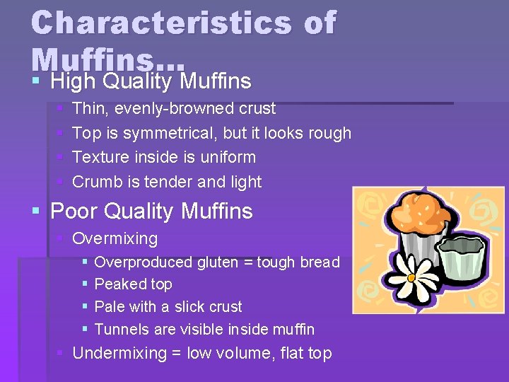 Characteristics of Muffins… § High Quality Muffins § § Thin, evenly-browned crust Top is