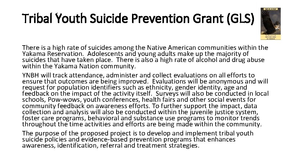 Tribal Youth Suicide Prevention Grant (GLS) There is a high rate of suicides among