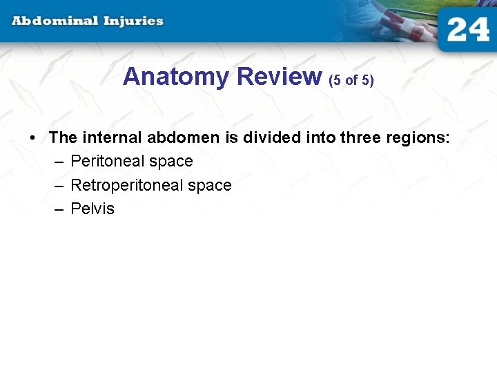 Anatomy Review (5 of 5) • The internal abdomen is divided into three regions: Anatomy Review (5 of 5) • The internal abdomen is divided into three regions: