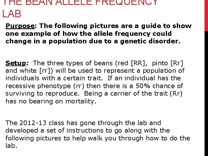 THE BEAN ALLELE FREQUENCY LAB Purpose: The following pictures are a guide to show THE BEAN ALLELE FREQUENCY LAB Purpose: The following pictures are a guide to show