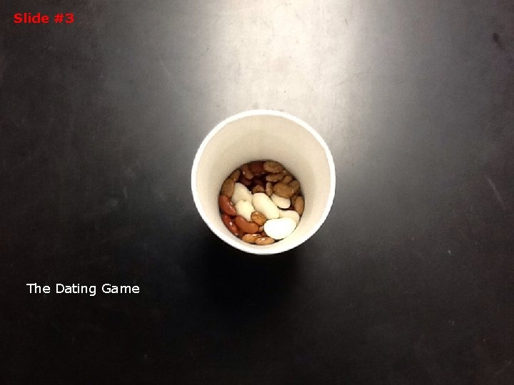 Slide #3 The Dating Game Slide #3 The Dating Game