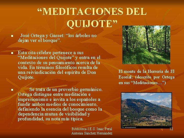 “MEDITACIONES DEL QUIJOTE” n n n José Ortega y Gasset: “los árboles no dejan “MEDITACIONES DEL QUIJOTE” n n n José Ortega y Gasset: “los árboles no dejan