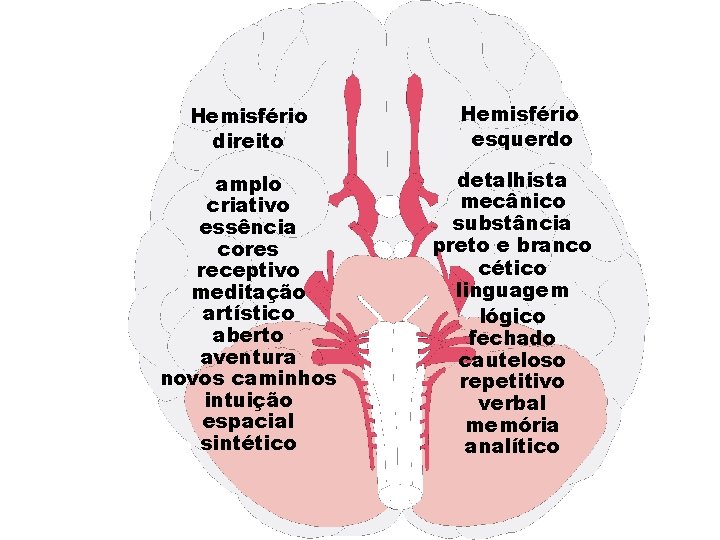 Hemisfério direito amplo criativo essência cores receptivo meditação artístico aberto aventura novos caminhos intuição