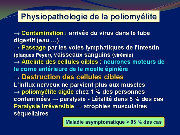 Physiopathologie de la poliomyélite → Contamination : arrivée du virus dans le tube digestif