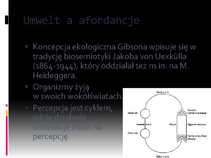 Umwelt a afordancje Koncepcja ekologiczna Gibsona wpisuje się w tradycję biosemiotyki Jakoba von Uexkülla