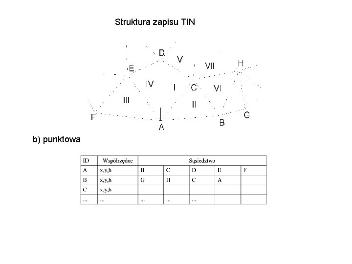 Struktura zapisu TIN b) punktowa 