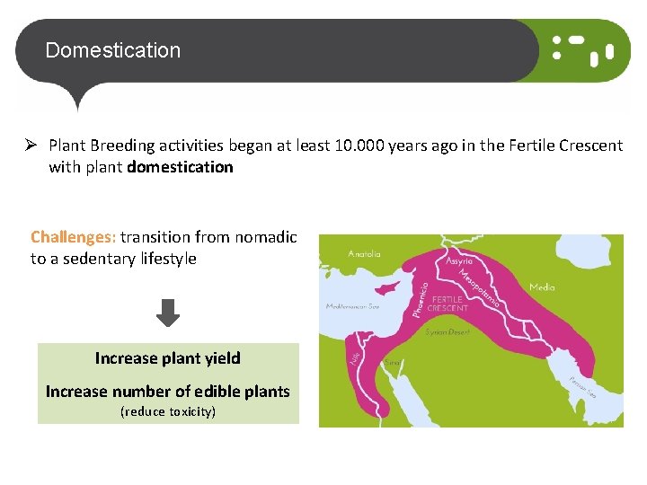 Domestication Ø Plant Breeding activities began at least 10. 000 years ago in the