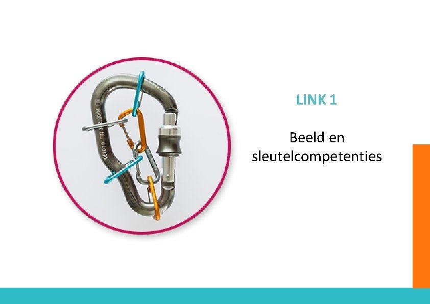 LINK 1 Beeld en sleutelcompetenties 