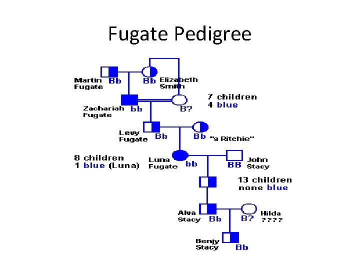 Fugate Pedigree 