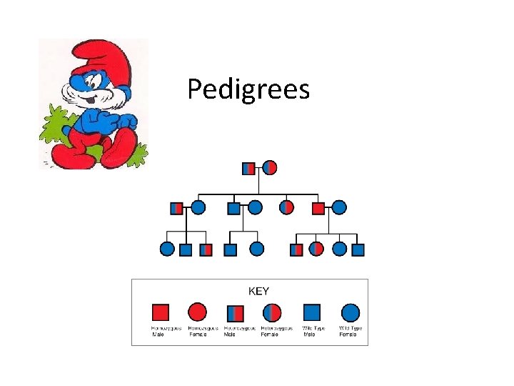 Pedigrees 