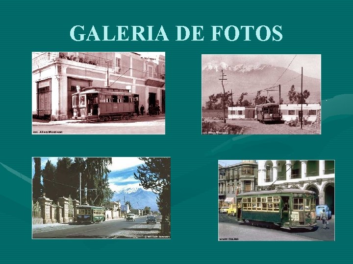 GALERIA DE FOTOS 