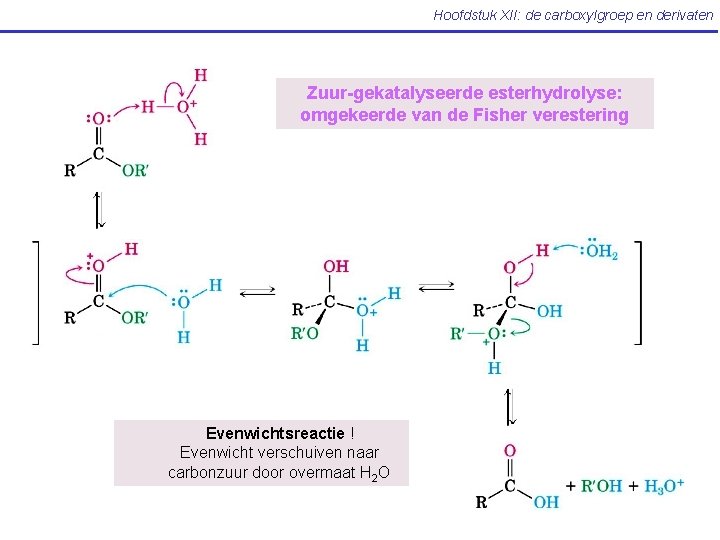 Hoofdstuk XII: de carboxylgroep en derivaten Zuur-gekatalyseerde esterhydrolyse: omgekeerde van de Fisher verestering Evenwichtsreactie