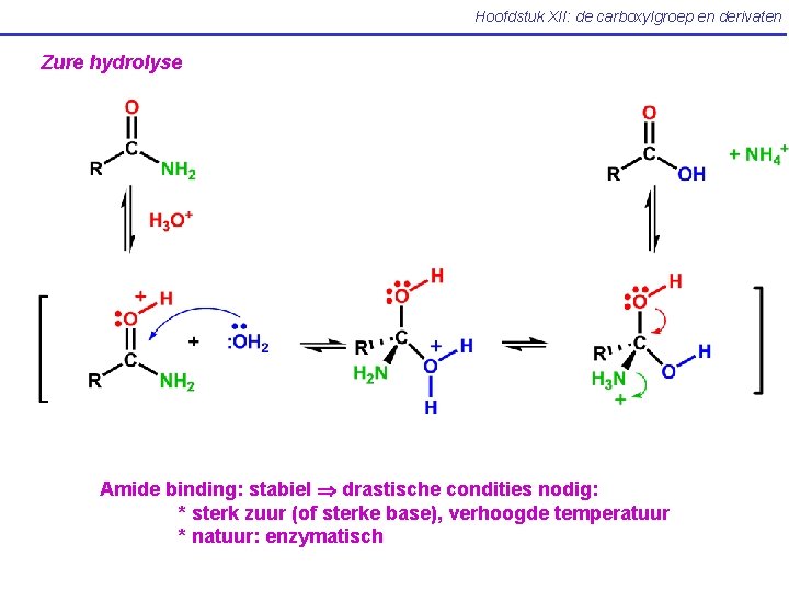 Hoofdstuk XII: de carboxylgroep en derivaten Zure hydrolyse Amide binding: stabiel drastische condities nodig: