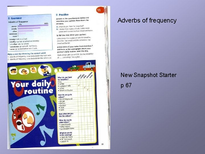 Adverbs of frequency New Snapshot Starter p 67 