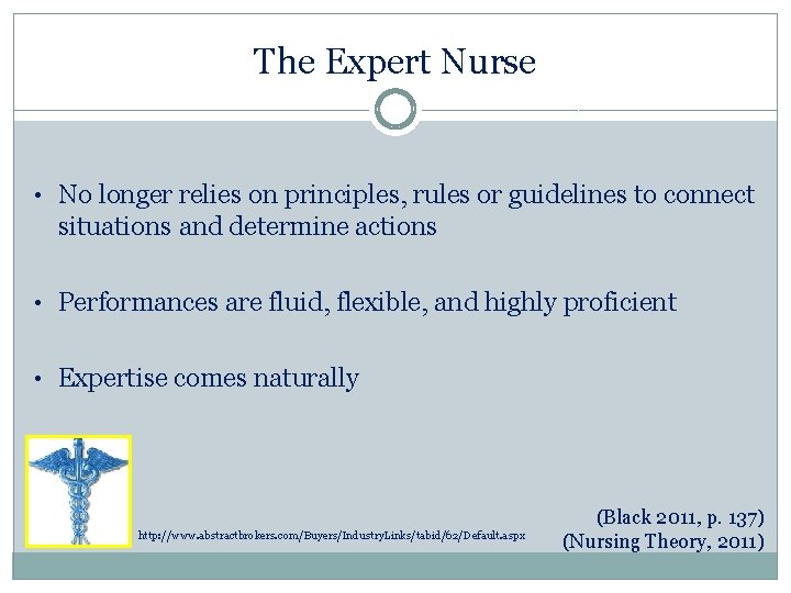 The Expert Nurse • No longer relies on principles, rules or guidelines to connect