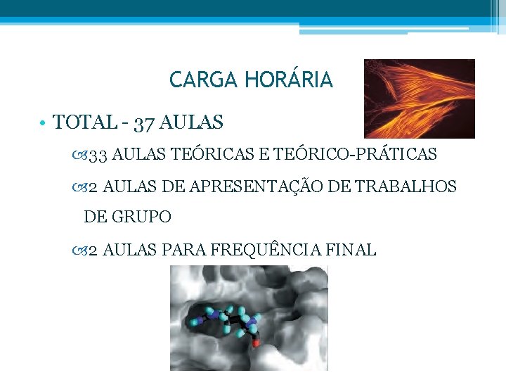 CARGA HORÁRIA • TOTAL - 37 AULAS 33 AULAS TEÓRICAS E TEÓRICO-PRÁTICAS 2 AULAS