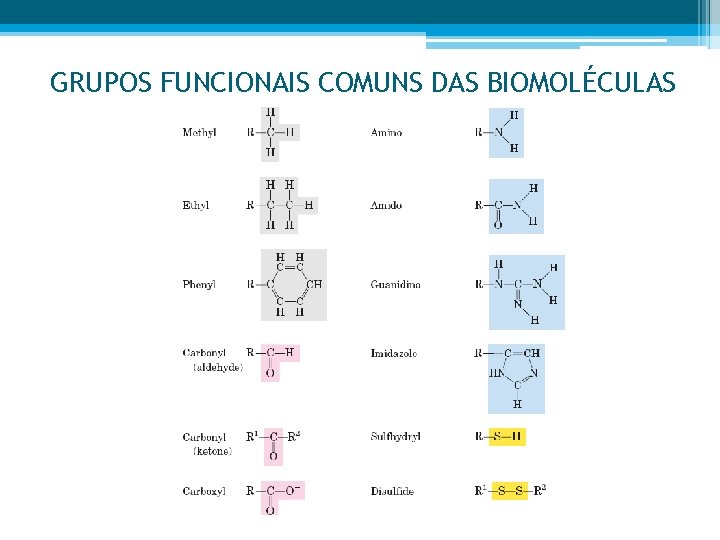 GRUPOS FUNCIONAIS COMUNS DAS BIOMOLÉCULAS 