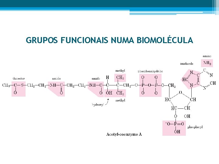 GRUPOS FUNCIONAIS NUMA BIOMOLÉCULA 