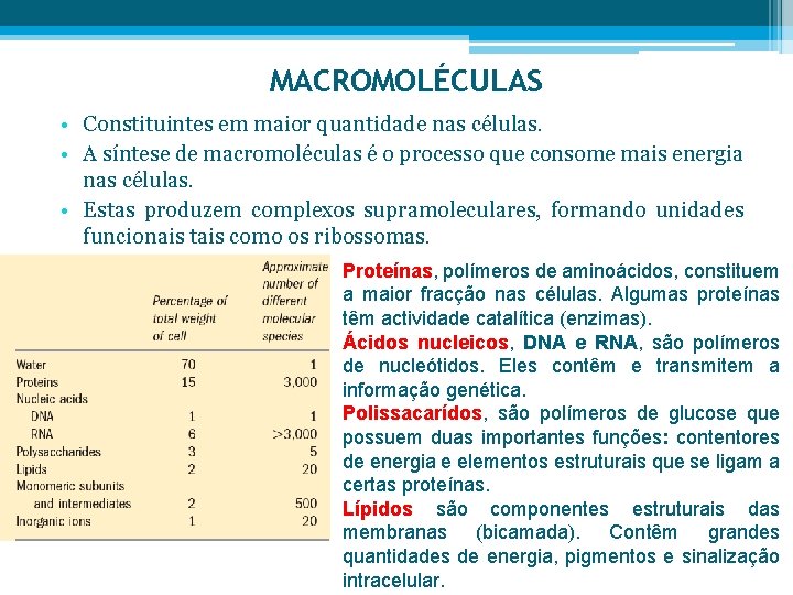 MACROMOLÉCULAS • Constituintes em maior quantidade nas células. • A síntese de macromoléculas é