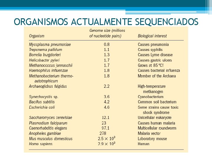 ORGANISMOS ACTUALMENTE SEQUENCIADOS 