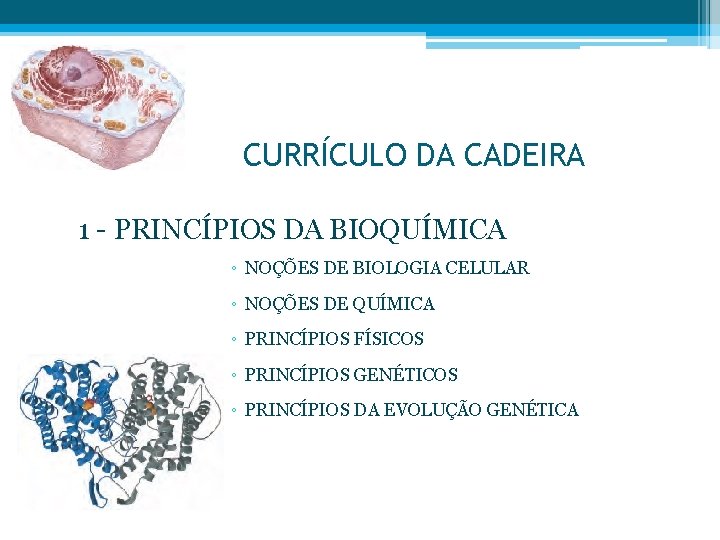 CURRÍCULO DA CADEIRA 1 - PRINCÍPIOS DA BIOQUÍMICA ◦ NOÇÕES DE BIOLOGIA CELULAR ◦