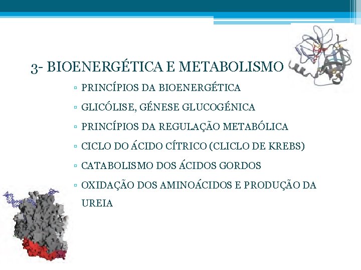 3 - BIOENERGÉTICA E METABOLISMO ▫ PRINCÍPIOS DA BIOENERGÉTICA ▫ GLICÓLISE, GÉNESE GLUCOGÉNICA ▫