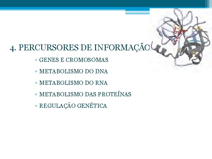 4. PERCURSORES DE INFORMAÇÃO ▫ GENES E CROMOSOMAS ▫ METABOLISMO DO DNA ▫ METABOLISMO