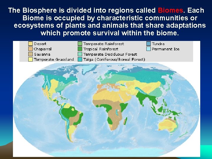 The Biosphere is divided into regions called Biomes. Each Biome is occupied by characteristic