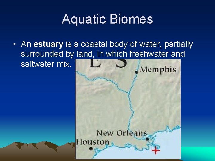 Aquatic Biomes • An estuary is a coastal body of water, partially surrounded by